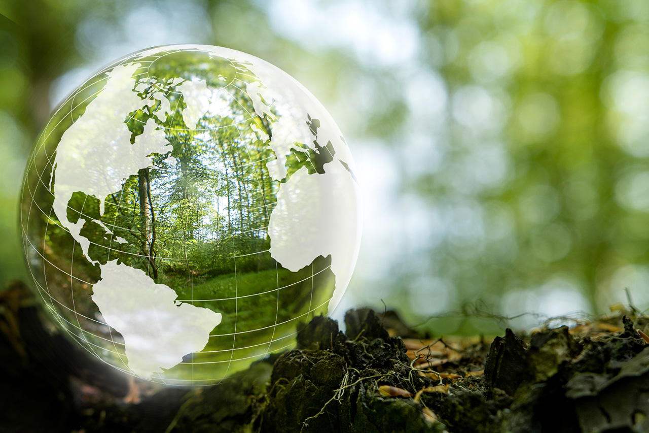 Donostia Sustainability Forum 