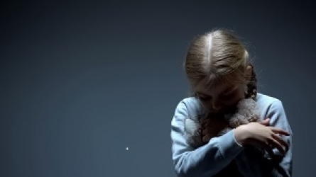 La perspectiva de género en los delitos de violencia de los hombres sobre las mujeres. Hijas e hijos: víctimas olvidadas La perspectiva de género en los delitos de violencia de los hombres sobre las mujeres. Hijas e hijos: víctimas olvidadas