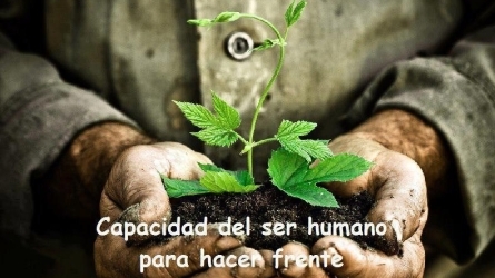 Resiliencia y bienestar: el desarrollo de fortalezas personales Resiliencia y bienestar: el desarrollo de fortalezas personales