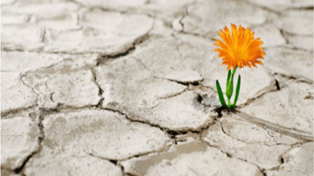 CURSO ONLINE EN DIRECTO - Entre el enigma y el estigma: una mirada a la realidad del suicidio CURSO ONLINE EN DIRECTO - Entre el enigma y el estigma: una mirada a la realidad del suicidio