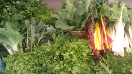 Un sistema alimentario local sostenible y saludable Un sistema alimentario local sostenible y saludable