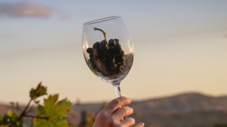 Ardoa 2021. Certificaciones de sostenibilidad. Como ponerlas en valor en el relato de las bodegas Ardoa 2021. Certificaciones de sostenibilidad. Como ponerlas en valor en el relato de las bodegas