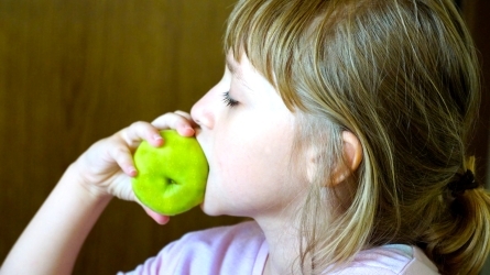 Haur eta gazteen obesitatea prebenitu dezakegu? Haur eta gazteen obesitatea prebenitu dezakegu?