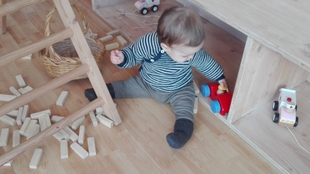 The Pikler pedagogue: origin, role and tasks at the Emmi Pikler Nursery School in Budapest