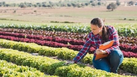 Cambio climático, alimentación y gastronomía Cambio climático, alimentación y gastronomía