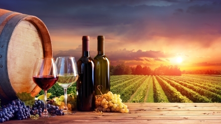 Nuevas tendencias en el mundo del vino y su efecto en las bodegas de Euskadi