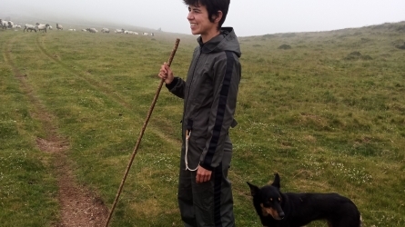 Sustainable management of mountain pastures (or the life of a shepherdess and her sheep) Sustainable management of mountain pastures (or the life of a shepherdess and her sheep)