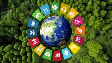 Los ODS en la Educación desde el paradigma de la Economía Ecológica, la Biomimesis y los Derechos de la Naturaleza