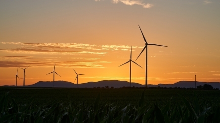 ¿Cómo acelerar la transición hacia las energías renovables en el País Vasco?