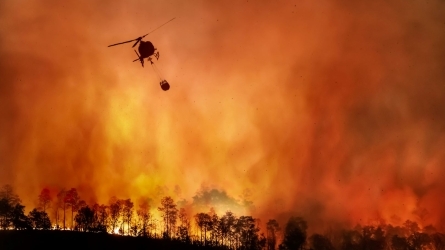 Forest fires, how to tackle them? Forest fires, how to tackle them?