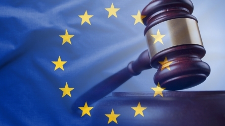 La aplicación de la Carta de Derechos Fundamentales de la Unión Europea por los legislativos: principios y valores europeos en jaque