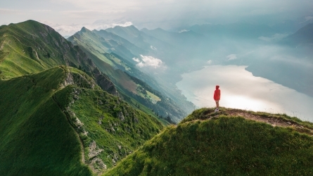 Planetary Health: the Response to the Challenges of the Anthropocene | POSTPONED