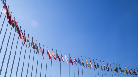 Cursos de Derecho Internacional y Relaciones Internacionales de Vitoria-Gasteiz Cursos de Derecho Internacional y Relaciones Internacionales de Vitoria-Gasteiz