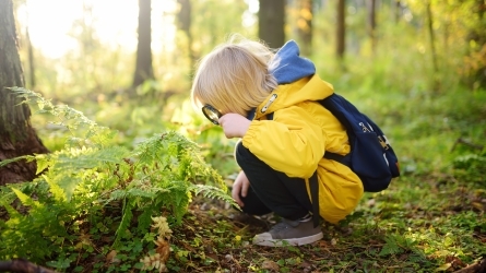 Naturan Hezi V. Topaketak. Harritu, entzun... Izan bidelagun! Naturan Hezi V. Topaketak. Harritu, entzun... Izan bidelagun!