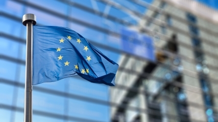 Los grandes retos actuales de la Unión Europea (V edición) Los grandes retos actuales de la Unión Europea (V edición)
