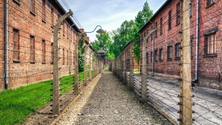 La deportación europea a los campos nazis (1940-1945) La deportación europea a los campos nazis (1940-1945)