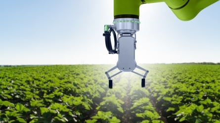 Adaptación de la agricultura al cambio climático: desafíos y oportunidades