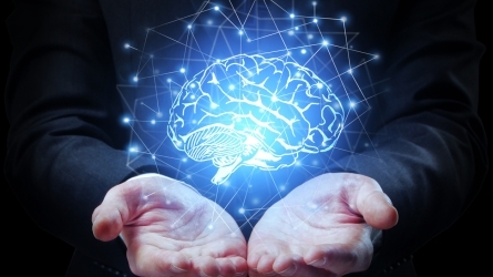 ¿Son necesarios nuevos neuroderechos? Respuestas desde la ciencia, la bioética y el derecho
