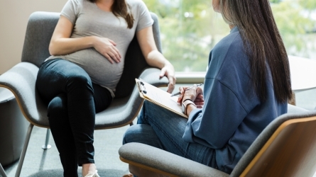 Salud Mental Perinatal y Abordajes Multidisciplinares Salud Mental Perinatal y Abordajes Multidisciplinares