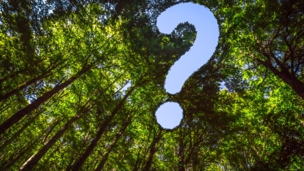 La vida en juego: ficción climática para pasar a la acción La vida en juego: ficción climática para pasar a la acción