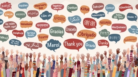 La communication plurilingue transfrontalière : enjeux, pratiques et perspectives