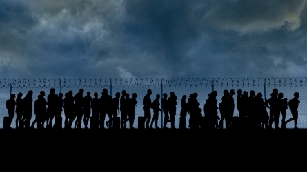 Le nouveau pacte européen sur l'asile et la migration : la dimension transfrontalière et les droits Le nouveau pacte européen sur l'asile et la migration : la dimension transfrontalière et les droits