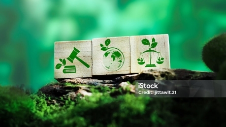 The Impacts of Climate Change on Health as Key Evidence in Climate Litigation Cases