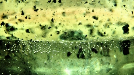 20th European Student Colloid Conference