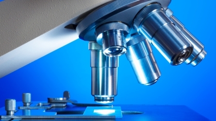 IV International Conference on Novel 2D Materials Explored Via Scanning Probe Microscopy & Spectroscopy (2D-SPM2026)