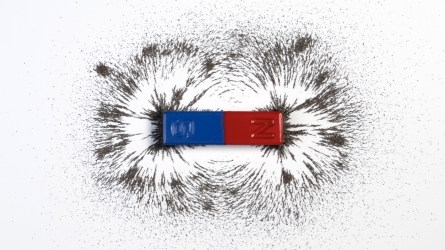 Spins on Surfaces (S0SIV)