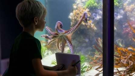 Cultura oceánica y escuelas azules en Euskadi