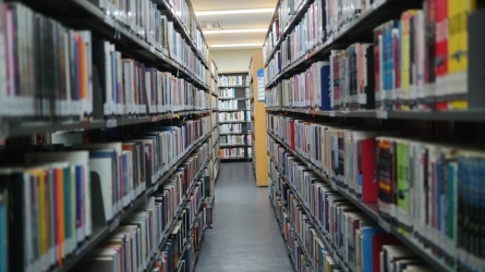 Genealogías feministas desde el archivo: investigación, memoria y reescritura del canon