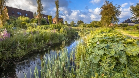  Sistemas Urbanos de Drenaje Sostenible (SUDS)