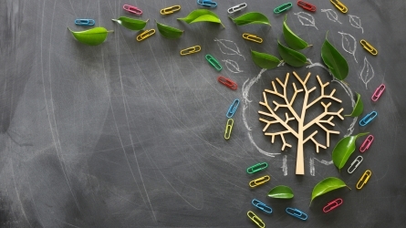 Cómo poner en marcha una educación ecosocial