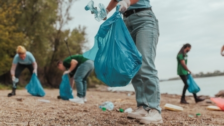 Voluntariado Sostenible: Claves para Transformar el Futuro desde Euskadi