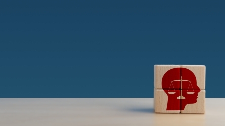 Inclusión, derechos y apoyos de las personas con discapacidad