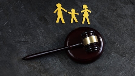 Salud y justicia para las mujeres y las y  los niños en los tribunales de familia: sistemas más seguros, políticas de protección y salud humana