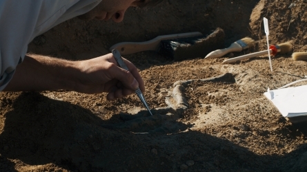  Jose Migel Barandiaranen ekarpena Arkeologia, Etnografia eta euskal Mitologiara IV