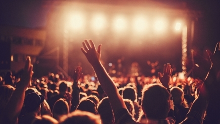 Creación y produccion de un Festival o programación musical