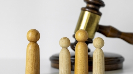 Gizarte Zerbitzuetan esku-hartze soziohezitzailea. Araudia eta unibertsitate eta profesionalen arteko elkarlana