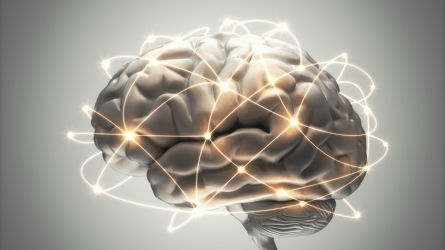 Curso TopaGune: Conocer el cerebro desmontando mitos