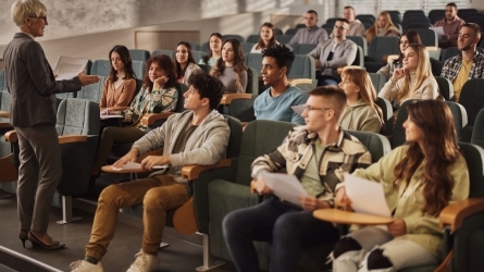 Fostering Dialogue and Collaboration among Minority Language Educators: Basque, Occitan and Irish within our Teacher Academies