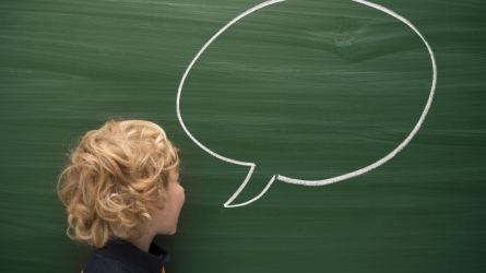 Hizkuntza-arazoak dituzten haurren artean identifikatzen diren kategoriak eta profil funtzionalak