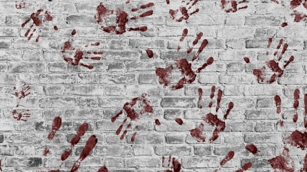 ETA y la socialización del sufrimiento. Violencia terrorista multiforme. 1995-2011