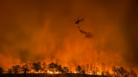 Incendios forestales ¿cómo afrontarlos? II