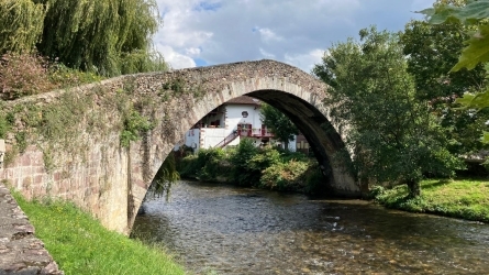 Basque Summer Tutorial in Language Documentation II