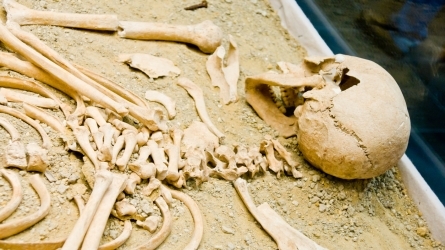 Violencia masiva, fosas comunes y derechos humanos. Perspectivas desde las ciencias forenses y sociales Violencia masiva, fosas comunes y derechos humanos. Perspectivas desde las ciencias forenses y sociales