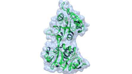 8th International Theoretical Biophysics Symposium (THEOBIO 2017)