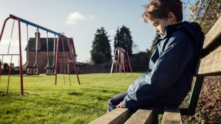 La escuela ante el acogimiento y la adopción La escuela ante el acogimiento y la adopción