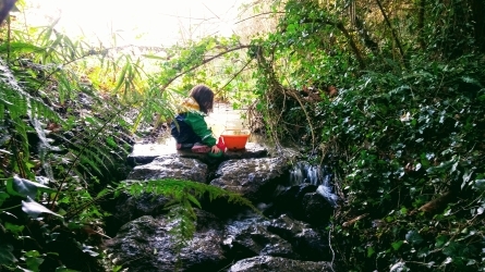 Aprender en y con la naturaleza: el tránsito desde la experiencia a la evaluación y la investigación educativa